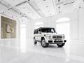 2016 G 63 AMG