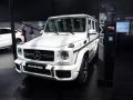 2016 G 63 AMG Edition 463