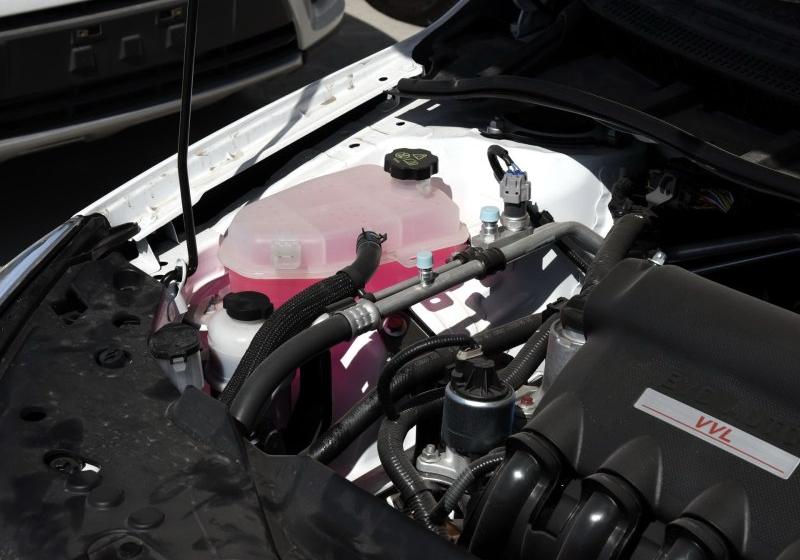 2016�� 1.5L �ֶ���Ӣ��