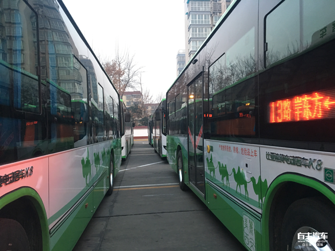 03150523ad4388ed627998.png blob.png