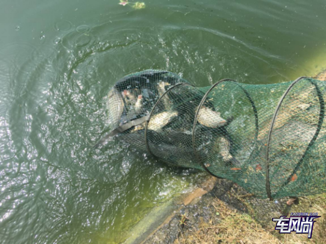 2414122986d55822c42038.png blob.png