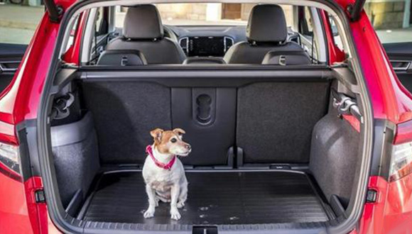 0514300935ddb340d87153.jpg 201807051056495188_sst.jpg