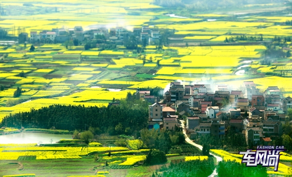 0316112145b0eac95e3318.jpg 1.jpg