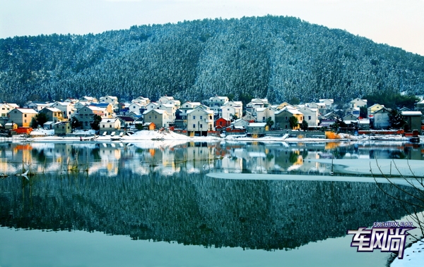 031611582532511f964384.jpg 4.jpg