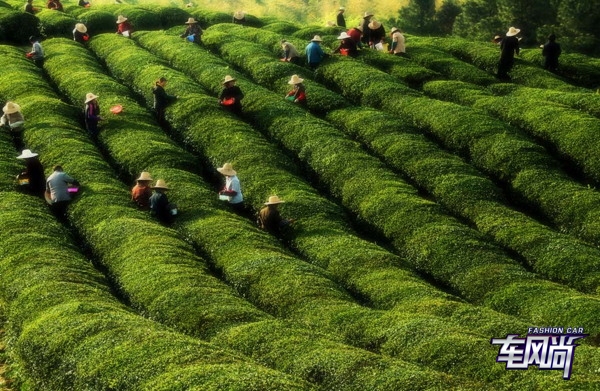 0316122357ab340d760756.jpg 6.jpg