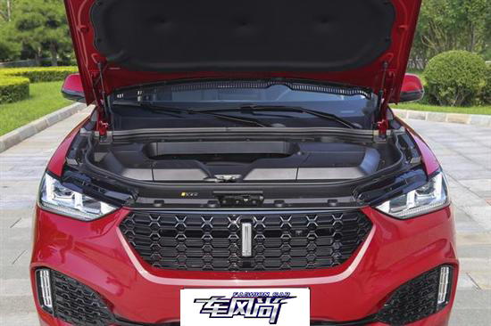 221003208288757e916927.jpg 201808220911096961_sst.jpg