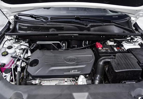 301030005efadf16542944.jpg 201808300841584450_sst.jpg