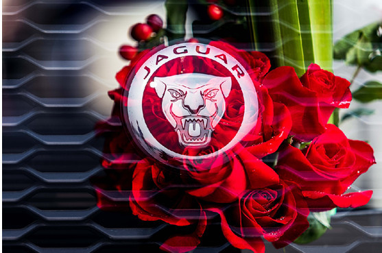 纵情弯道 尽享驾趣 捷豹新英仕挑战赛第三季石家庄站圆满结束