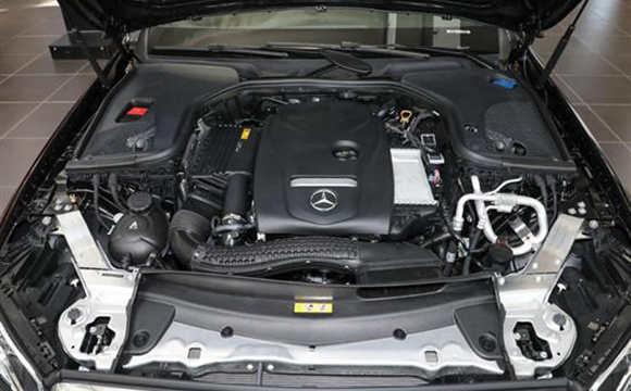 140047416526b08a9c8922.jpg 201903130919355967_sst.jpg