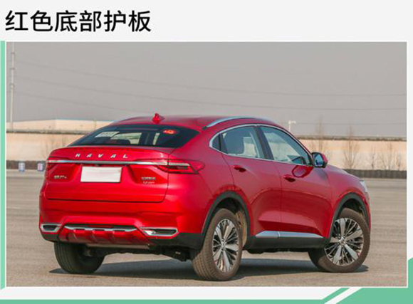 1223374796089e84c72873.jpg 201905100845278404_sst.jpg