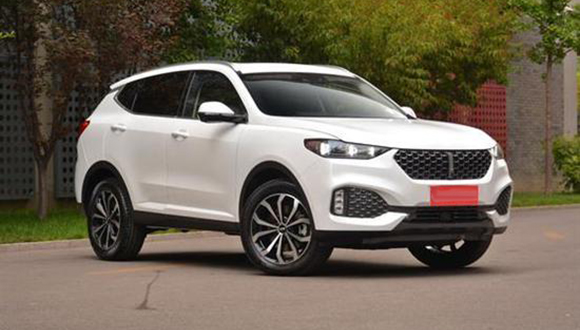 15003846fba3edc2712983.jpg 201907120836358931_sst.jpg