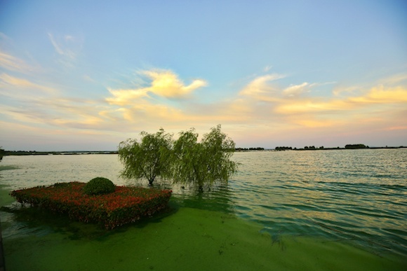 05183207104c2215322884.jpeg WechatIMG1343.jpeg