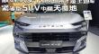 2025 ;´ʥ ˽ ۸ SUVз츲 [չ̽]