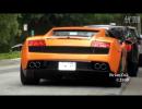 ͷʵGallardo LP560-4