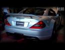 ���ģ�����SL65 Black Series 805����