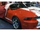 ˫ɫShelby GT350ű
