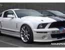 㼡 ʵĸҰ Shelby GT500