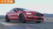 ΪMTԼҰGT350 Shelby