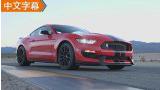 ΪMTԼҰGT350 Shelby