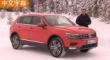  ȫ´Tiguan