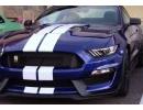 Ѫ Mustang GT350 Shelby